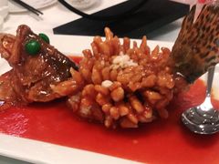 -松鹤楼·非遗·苏帮菜(融科店)
