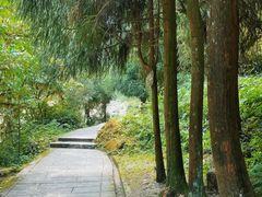 -西岭雪山大飞水景区