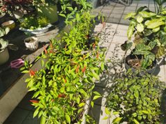 -第三空间·趣味桌游·轰趴.室内CS.剧本杀(大武汉1911店)