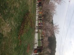 iphone_upload_pic-绵阳盛世樱花悠乐谷