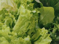 -郭记烤肉创始店(民丰大街店)