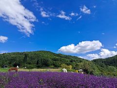 -名花谷生态庄园