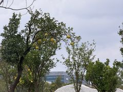 -东方体育中心(地铁站)