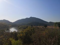 -风云岭森林公园