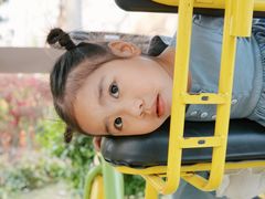 -合肥滨湖国家森林公园