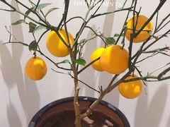 -将相和·海鲜蒸饺大连菜