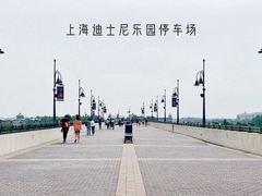 -迪士尼乐园停车场