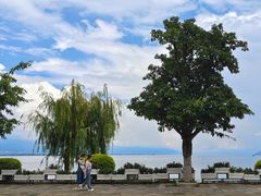 -野菌皇海景野生菌火锅(滨海大道店)