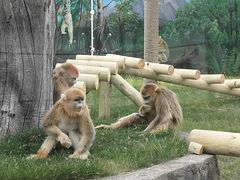 -西安秦岭野生动物园