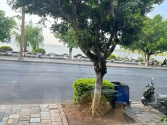 -野菌皇海景野生菌火锅(滨海大道店)