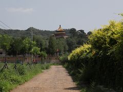 -磬锤峰森林公园