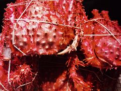 -临水宫·康养餐厅(徐矿广场店)