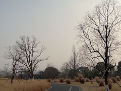 -良渚古城遗址公园