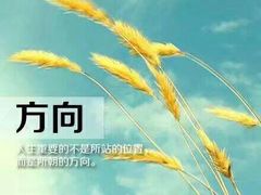 -幸福里四季火锅店
