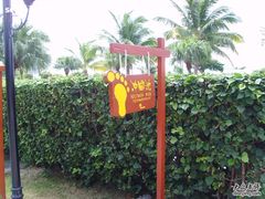 冲脚的地方-三亚亚龙湾金棕榈度假酒店