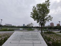 -莲花池公园