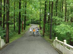 -崇明东平国家森林公园烧烤房车露营地