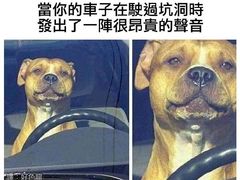 -耐跑(万达广场店)