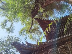 -晋祠公园