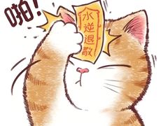 -万达广场(济南魏家庄店)
