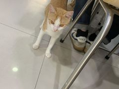 -重庆麻辣烫(国权路店)