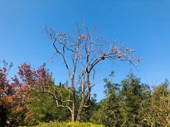 -香山公园-东宫门售票处