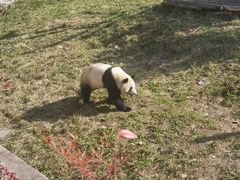 -西安秦岭野生动物园