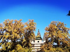 -北京石刻艺术博物馆(五塔寺)