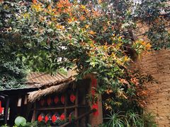 -五邑人家(江门店)