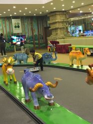 -卡通尼·Safari非洲探索乐园·生日会(金桥国际商业广场店)