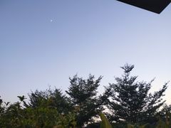 -马家斑.鲜鱼火锅(松湖万科店)