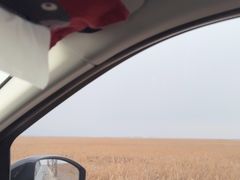 -哈素海