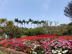 -广州莲花山旅游区