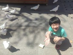 -天津妈祖文化园