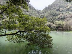 -深圳龙潭公园