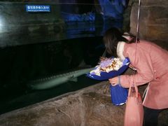 -蓬莱欧乐堡海洋极地世界