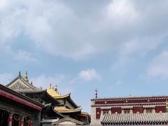 -塔尔寺-菩提树