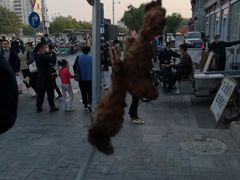 -马凯餐厅(地安门店)