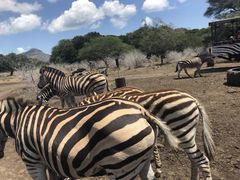 -卡塞拉自然公园