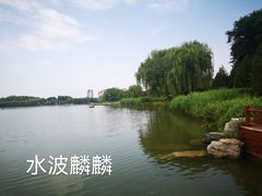 -河北省园博园
