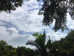 -鼓浪屿内厝澳码头(轮渡站)