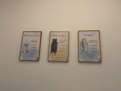 -agge蛋白医美