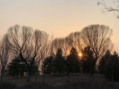-东郊湿地公园
