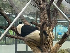 -无锡动物园·太湖欢乐园