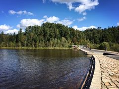 -五营红松林海景区