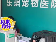 -乐琪宠物医院·犬猫专科·骨外科·急重症