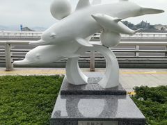 -海豚湾扬帆出海帆船游艇