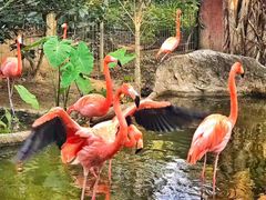 -清迈夜间动物园