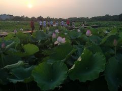 -梁鸿国家湿地公园