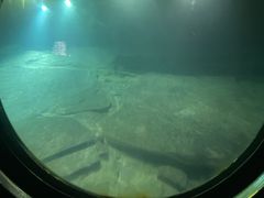 -白鹤梁水下博物馆